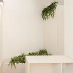 Liiiving In - Bolhao Garden Πόρτο