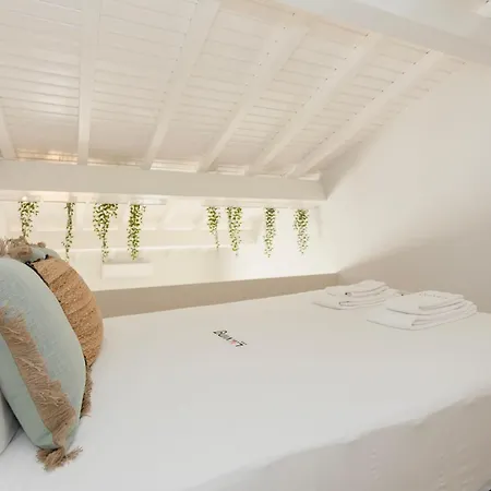 Apartamento Liiiving In - Bolhao Garden