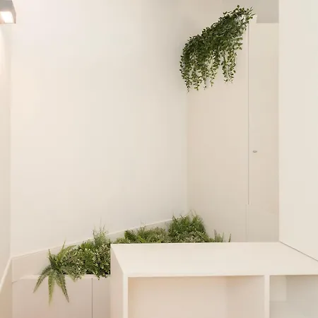 Liiiving In - Bolhao Garden Порту