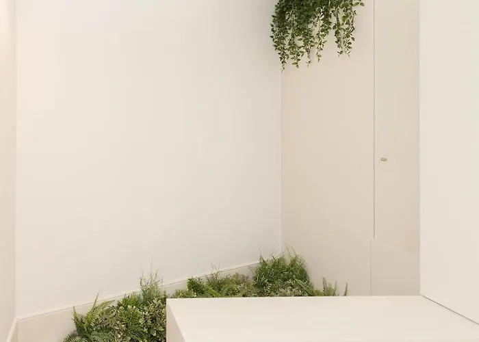 Liiiving In - Bolhao Garden 波尔图